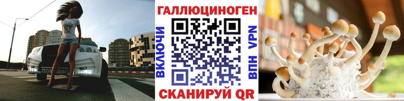 Галлюциногенные грибы Psilocybe  Купить где  Катав-Ивановск 